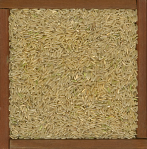long grain brown rice background